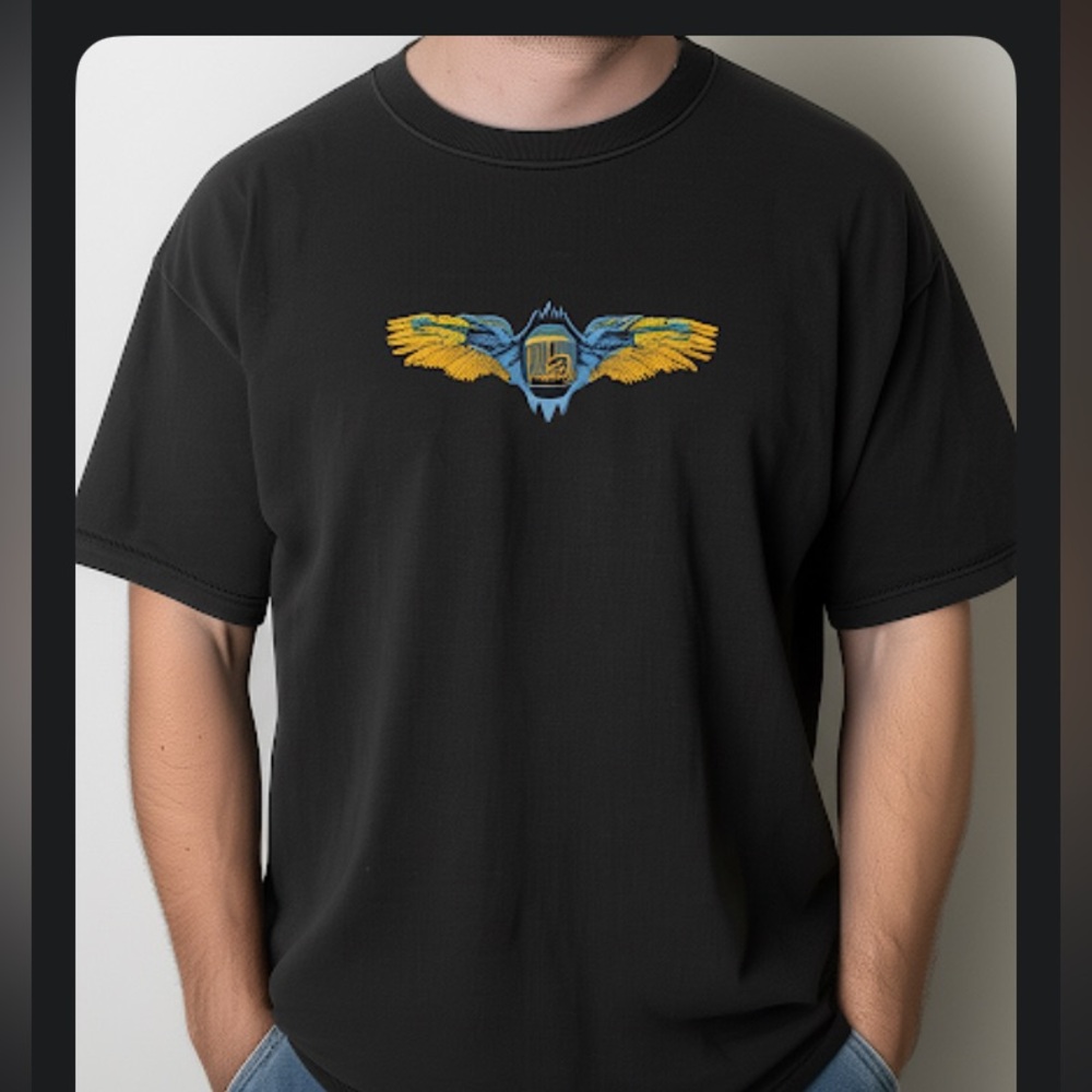 DOOBIE BROTHERS mens black 2xl concert tee 2012 tour